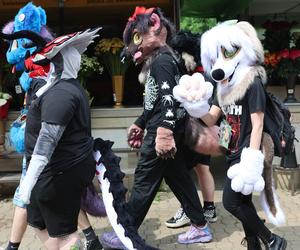 Marsz futrzaków w Lublinie. Tak wyglądał I Lubelski Fursuitwalk