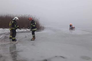 Pies dryfował na krze. Tragedia na jeziorze Lednica