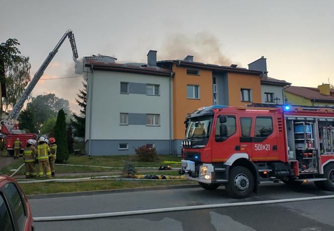 Podpalił budynek, potem ruszył z nożem na policjanta i strażaka! Padł strzał