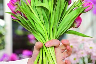 Jak ułożyć bukiet z tulipanów? Instrukcja krok po kroku