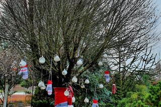 Ogrody Kapias przygotowane na zimę