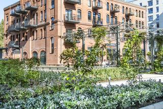 Browary Wrocławskie