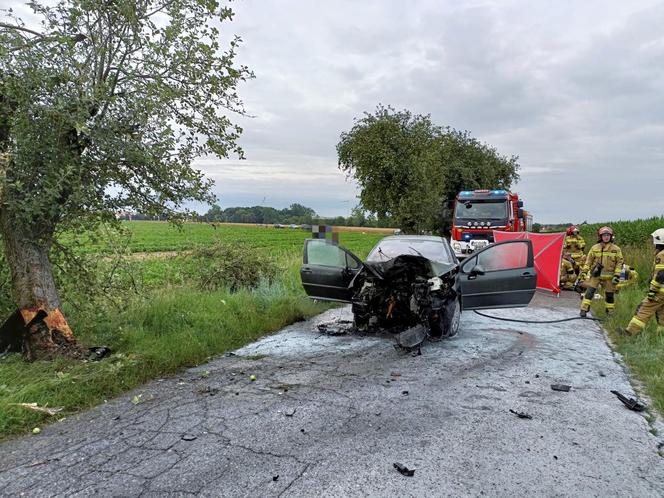 Śmiertelny wypadek pod Pleszewem. W aucie 40-latki wybuchł pożar [ZDJĘCIA]