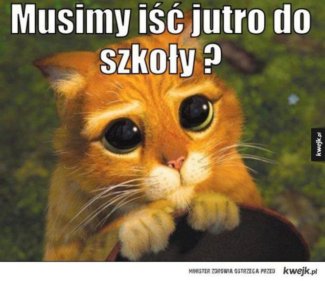 MEMY na rozpoczęcie roku szkolnego 2025/2026