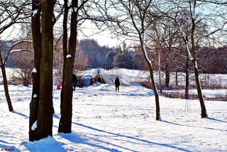 ATAK zimy w Bydgoszczy! Pierwszy śnieg już w tym tygodniu? [PROGNOZA POGODY] 