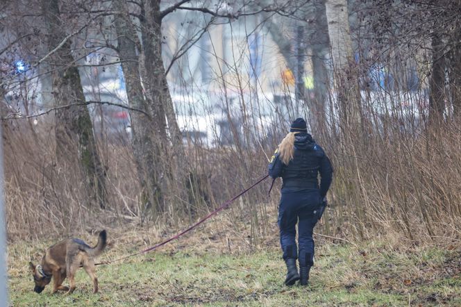 Strzelanina w szwedzkiej szkole! Co najmniej pięć osób rannych