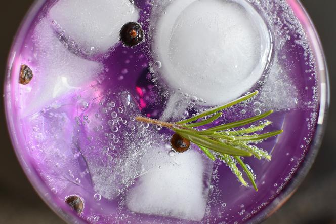 Gin: czym charakteryzuje się słynny alkohol jałowcowy