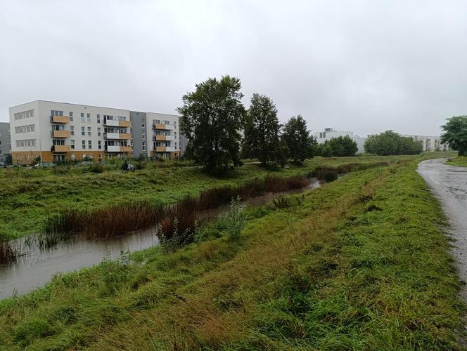 Sytuacja pogodowa we Wrocławiu i okolicach