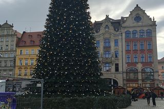 Co jest nie tak z nową choinką we Wrocławiu? Brakuje gałązek, czubek jest niedopracowany