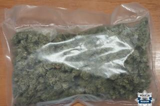 Radomscy policjanci zabezpieczyli blisko 700 gram narkotyków