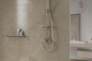 Prysznic czy wanna? Poznaj wady i zalety