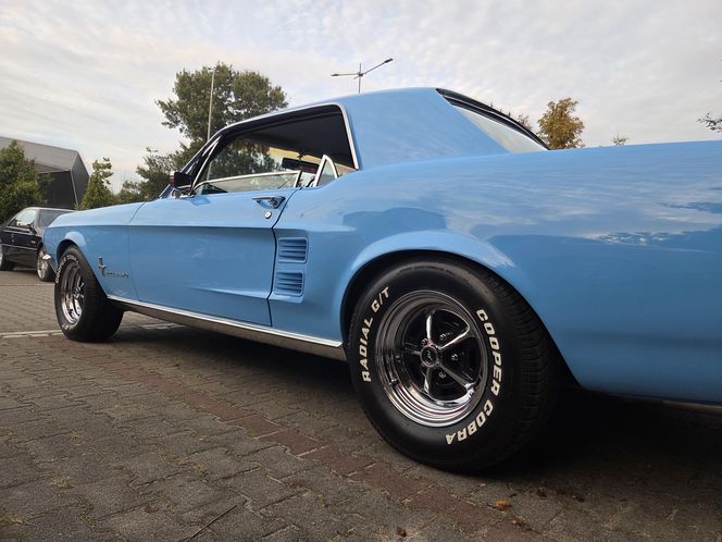 Klasyczna motoryzacja znów zachwyciła Bydgoszcz. „Bydgoskie Klasyki Nocą” przy Torbydzie