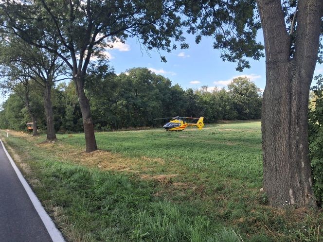 Nie żyje 47-latek z Leszna. Tragiczny wypadek niedaleko Karśnic 
