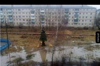 Memy na Święta 2024 - śmieszne obrazki świąteczne