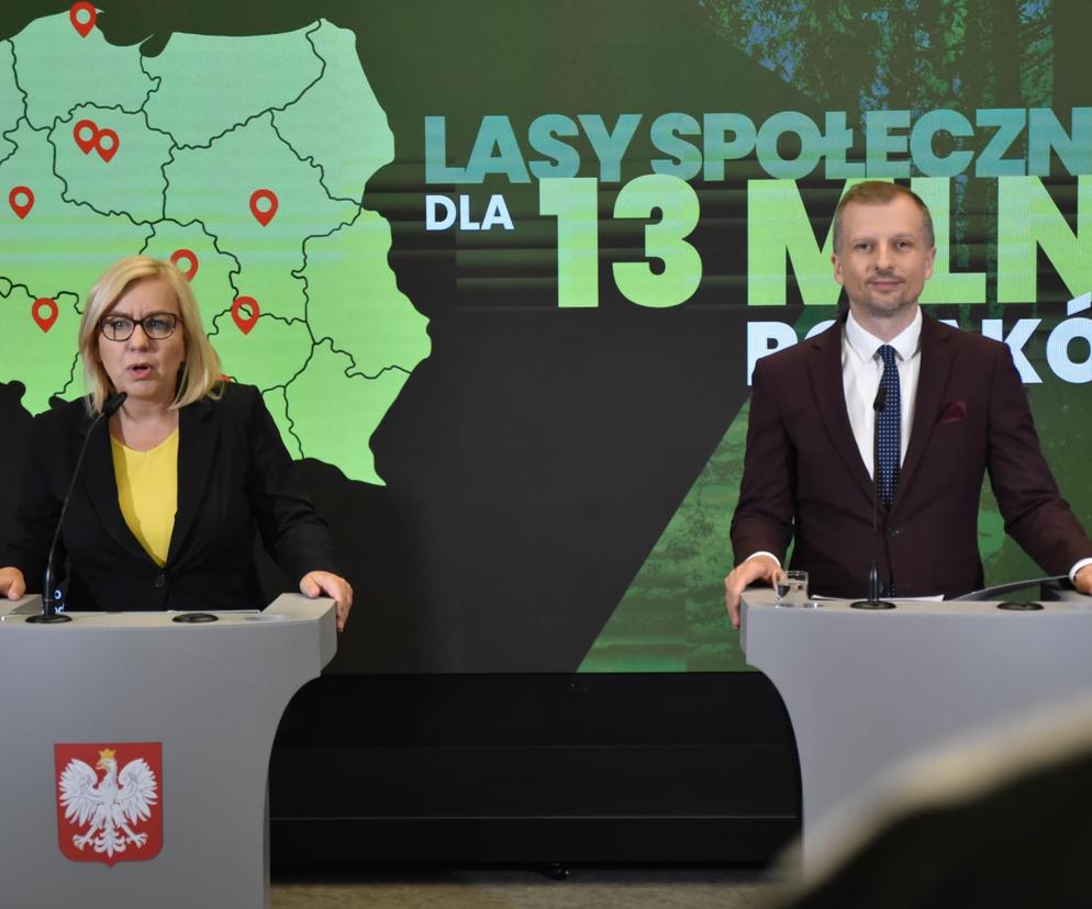 Powstają mapy lasów społecznych