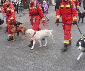 Wielka Szarża w centrum Łodzi. Oddziały konne przeszły przez Piotrkowską