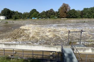Jaz Szczytnicki we Wrocławiu coraz bardziej wypełniony. Do Wrocławia zbliża się fala ZDJĘCIA