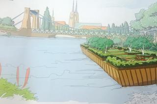 Pływające ogrody we Wrocławiu. Są już projekty i szkice [AUDIO, ZDJĘCIA]