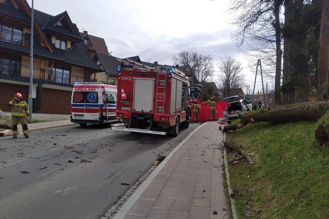 Tragedia w Zakopanem. Drzewo spadło na samochód. Młoda kobieta nie żyje