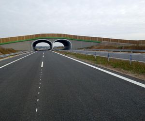 S19 Bielsko Podlaski-Boćki