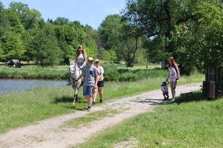 Dzień Dziecka w Muzeum Wsi Lubelskiej