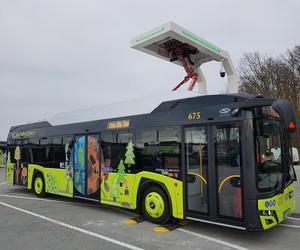 Elektryczne autobusy dla MZK