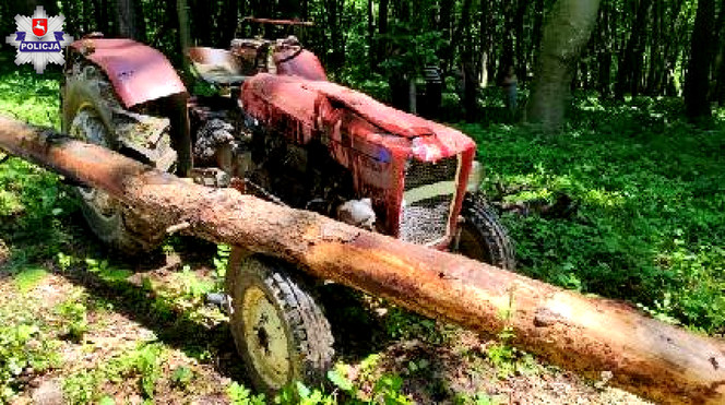 Zalesie: Makabryczny wypadek podczas wycinki drzew. 68-latek nie żyje