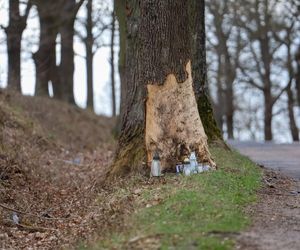 Tragiczny wypadek pod Dobrzykami. Mateusz zginął 400 metrów od domu