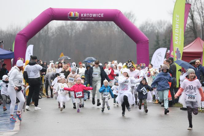 Bieg Fundacji Śląskie Anioły w Katowicach