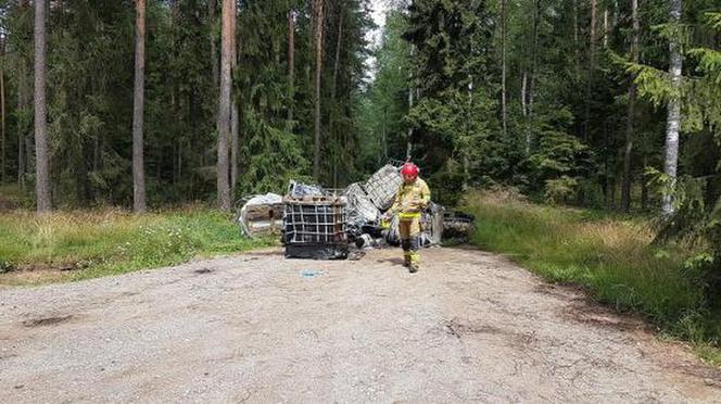 Nidzica. Wyrzucili do lasu 15 tys. litrów chemikaliów! Czy są niebezpieczne?