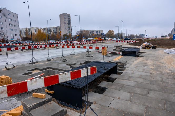 Pierwsze drzewa w parku nad obwodnicą na Ursynowie