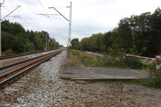 PKP chce odgrodzić rezerwat od osiedla. Mieszkańcy Olszynki Grochowskiej nie odpuszczają. Trwa wojna o przejście!