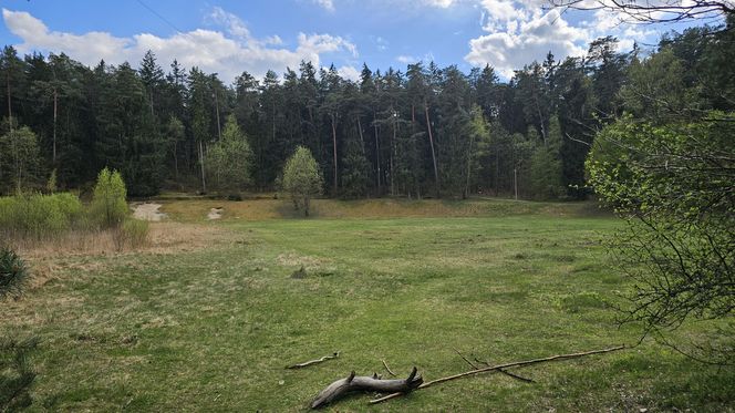 Stadion Leśny w Olsztynie dawniej i dziś. To tam bito rekordy świata w lekkiej atletyce