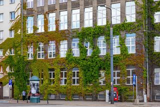 CePeLek, dawna Warszawska Szkoła Pielęgniarstwa w Warszawie