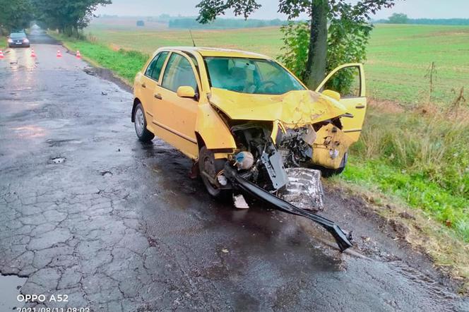 Kierowca osobówki wbił się w drzewo! Dramatyczny wypadek pod Grudziądzem