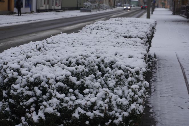 Zima w Świętokrzyskiem. Skarżysko-Kamienna (22.11.2024)