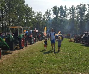 Festiwal starych ciągników w Wilkowicach. Setki maszyn, tysiące widzów i upał