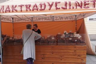 Dni Olsztyna 2024. Dziesiątki stoisk z tradycyjnym jedzeniem i rękodziełem. Czy ceny są zawyżone? [ZDJĘCIA]