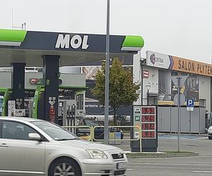 Ceny paliw Białystok MOL