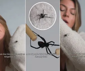 Najseksowniejsza przyrodniczka świata kupiła sobie ultrajadowitego pająka. Przytula się do niego. Zwariowała