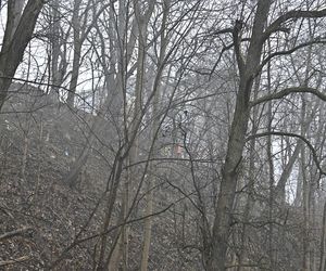 Wielka akcja policji w Nowym Dworze Mazowieckim. Znaleziono ludzkie szczątki