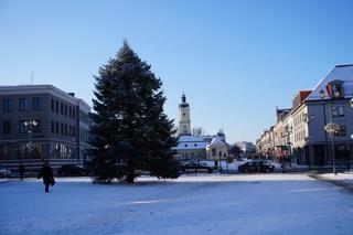Choinka stanęła w centrum Białegostoku. 12-metrowa atrakcja gotowa na Boże Narodzenie
