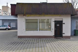  37 martwych zwierząt w siedzibie fundacji, która miała opiekować się psami i kotami