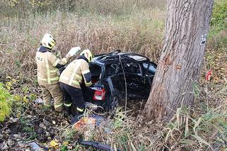 Audi wylądowało na drzewie