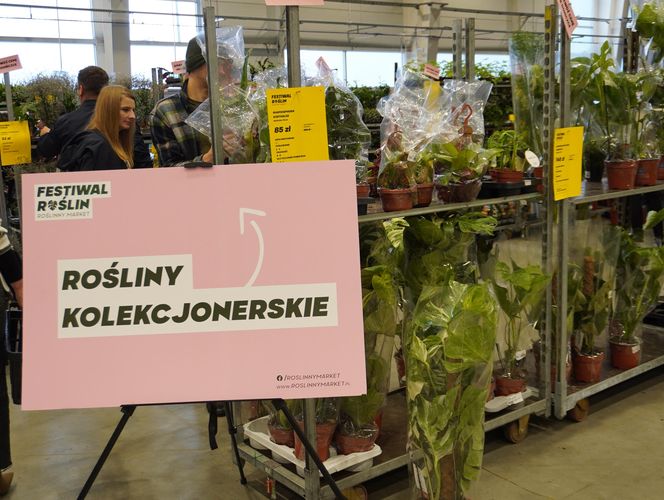 Największy targ roślin doniczkowych ponownie w Lublinie