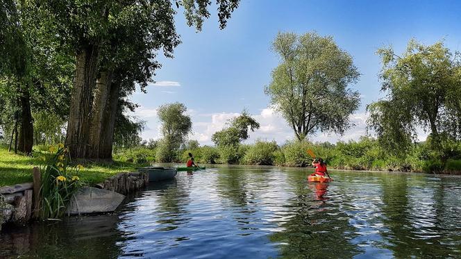 To ostatnia chwila na wakacje w kajaku! Te szlaki znajdują się na Lubelszczyźnie. Poleca je National Geographic!