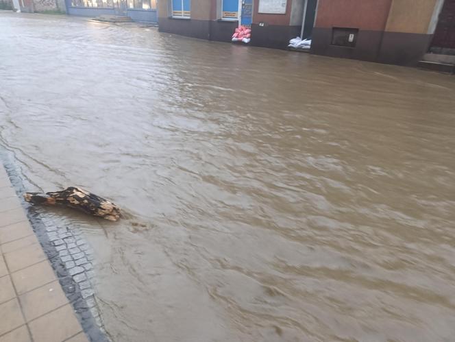 Powódź w Głuchołazach. Woda przedostała się na rynek