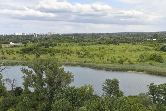 Jeziorko Czerniakowskie
