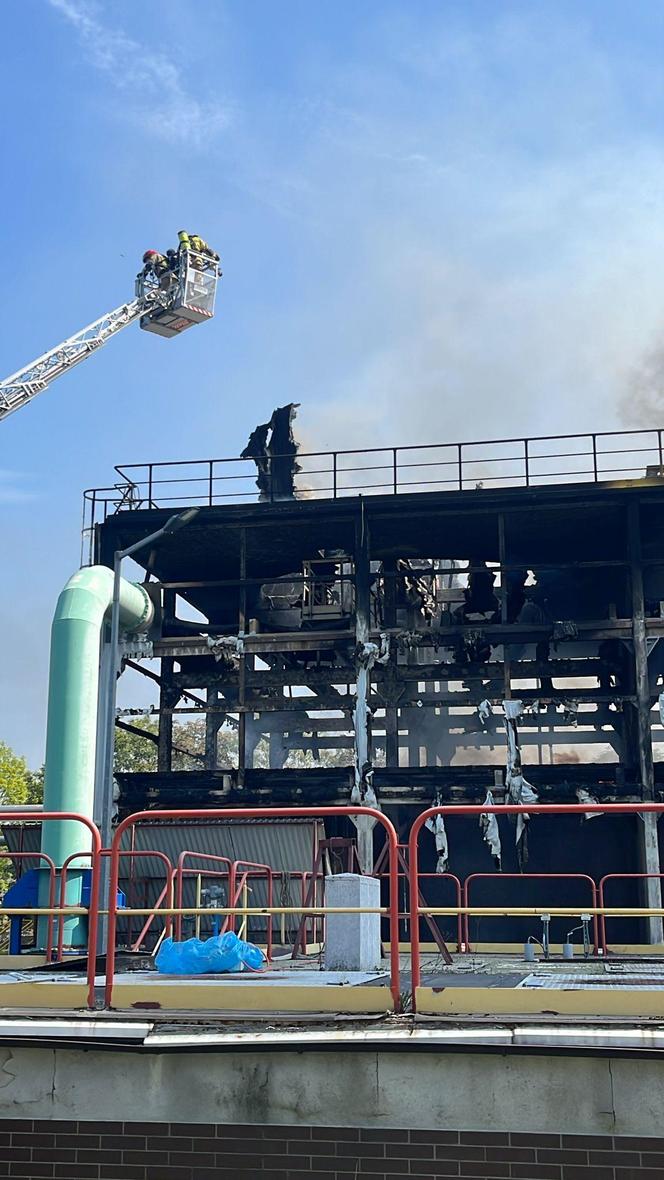 Gigantyczny pożar elektrociepłowni w Rzeszowie. Kłęby dymu nad miastem