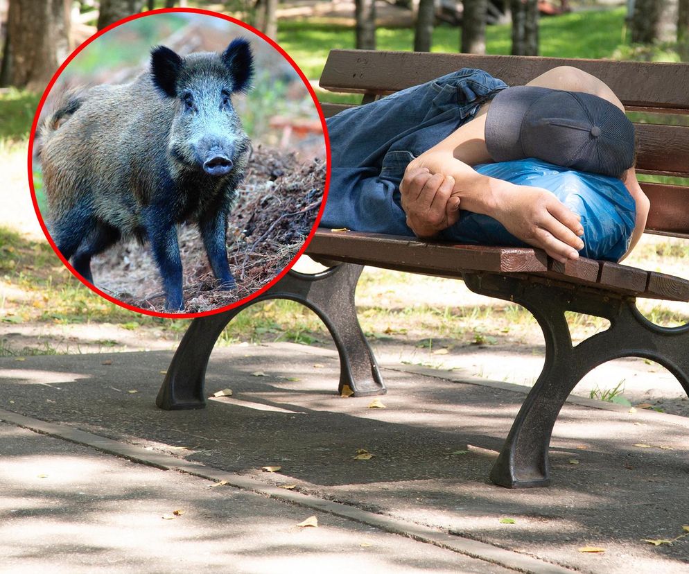 Śpiący królewicz na ławce, a obok… dzika impreza. Wszystko się nagrało!